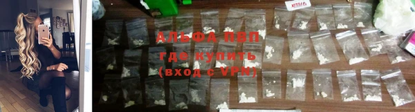 spice Баксан