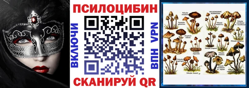 Псилоцибиновые грибы Cubensis  Беломорск 